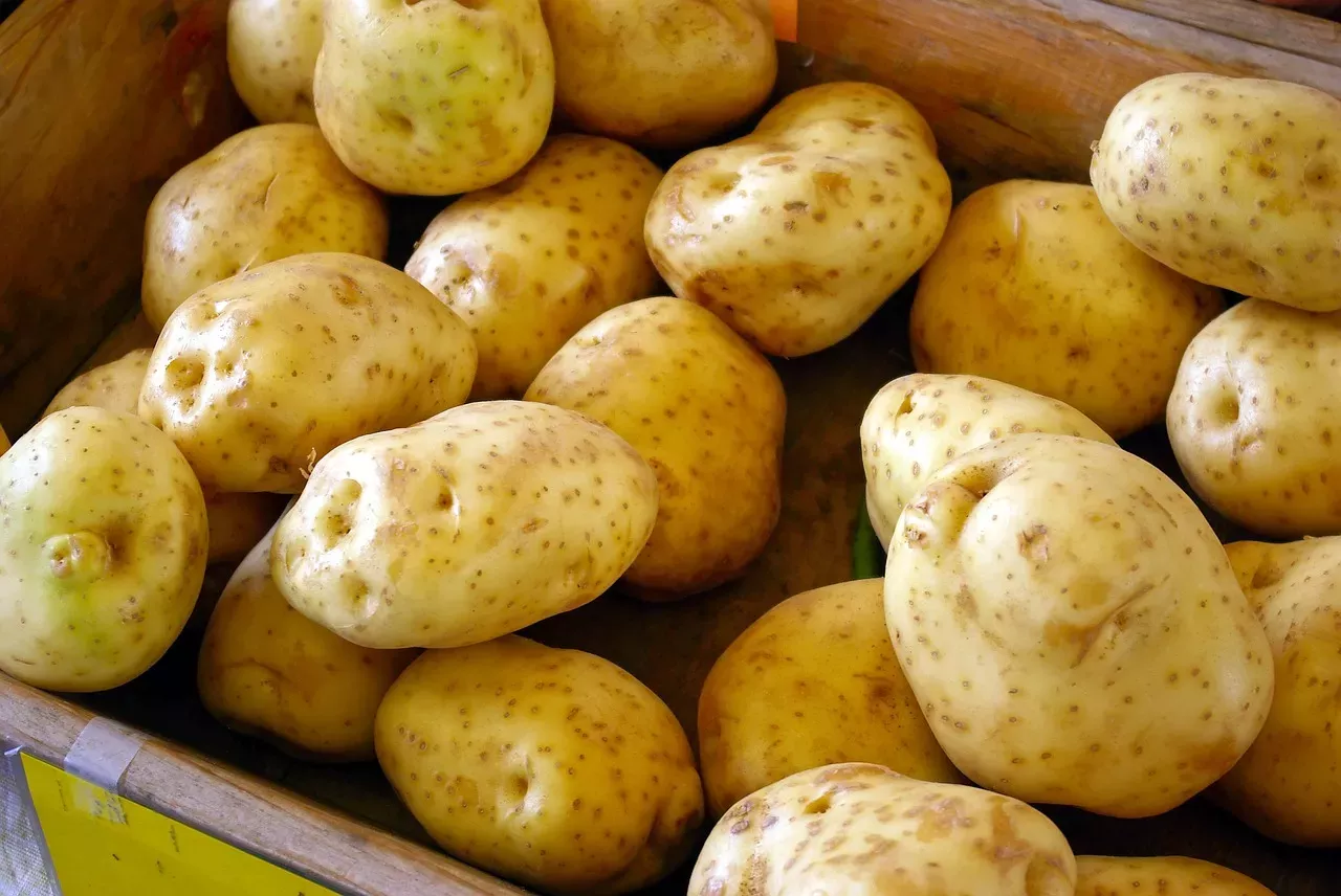 Facilita tu día a día con estas recetas de patatas