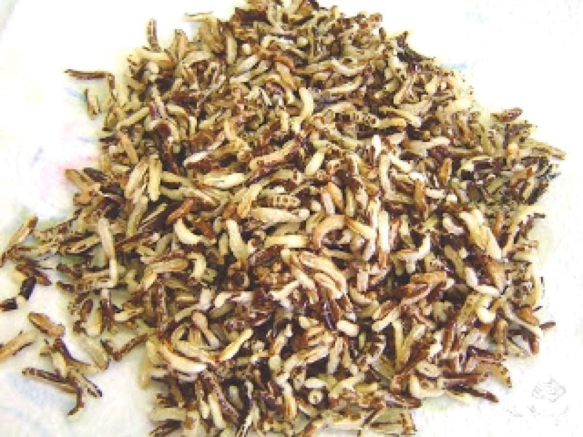 Arroz Salvaje En Colombia