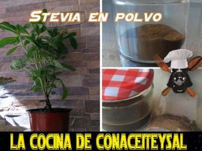Receta Como hacer stevia casera en polvo
