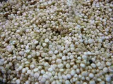 Paso 1 - Ensalada de quinoa