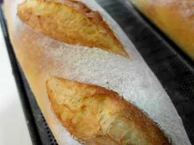 Barras de pan francés con masa madre