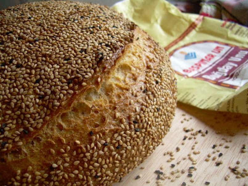 Buenos panes desde Chipre - foto 2