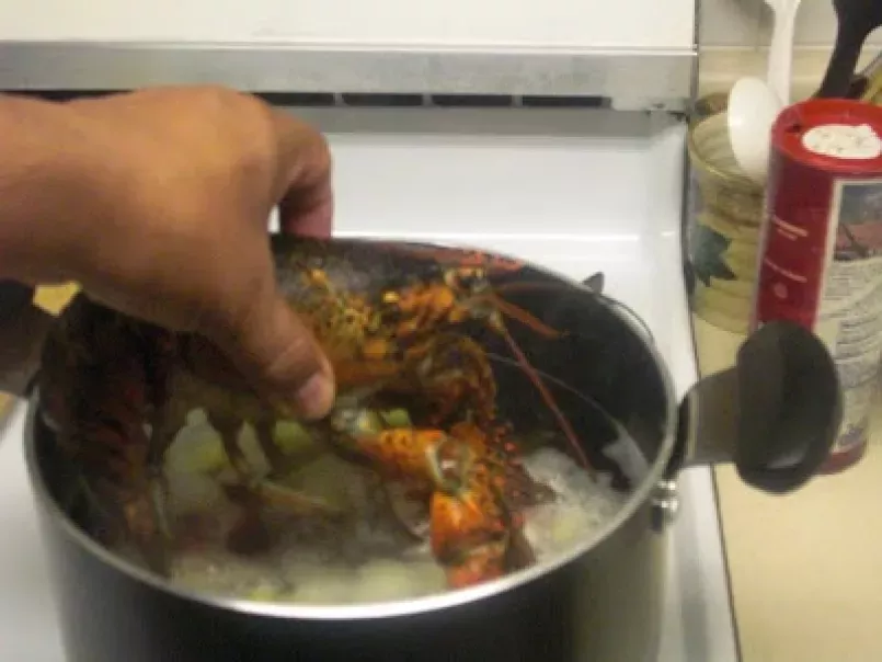 Como Cocinar Langosta...Lobster - foto 8