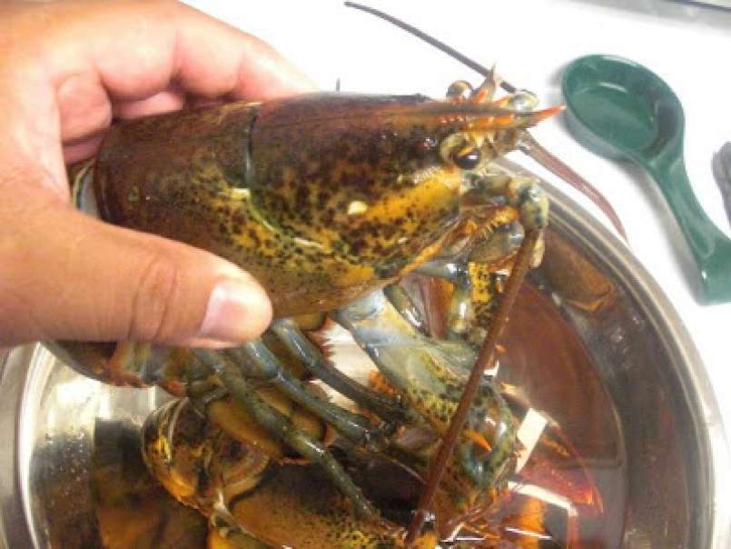 Como Cocinar Langosta...Lobster - foto 9