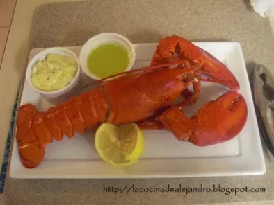 Como Cocinar Langosta...Lobster - foto 10