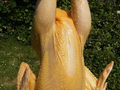 Guiso de pollo de corral con fideos - foto 8