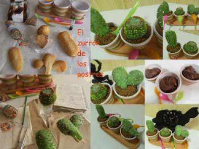 Macetas de Cactus Sweets - foto 2