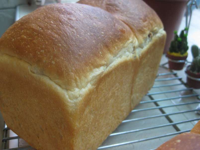 Pan de molde con queso crema y nueces - foto 2