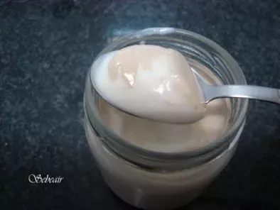 YOGUR DE GALLETAS (yogurtera y thermomix)