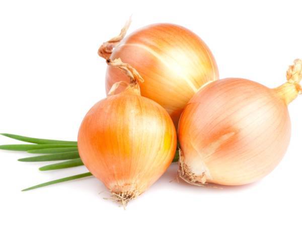 Cebolla