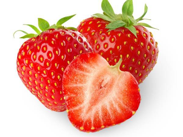 Fresa