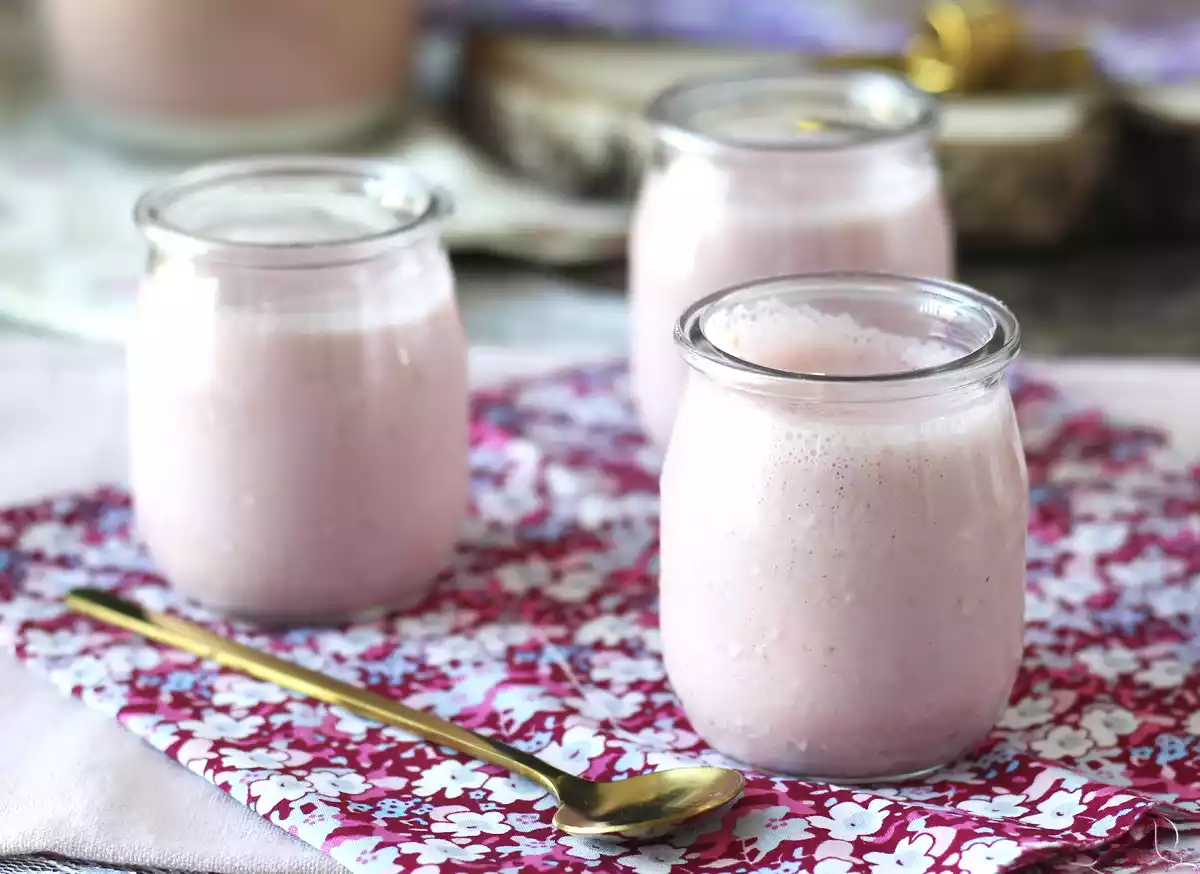 Petit suisse saludable