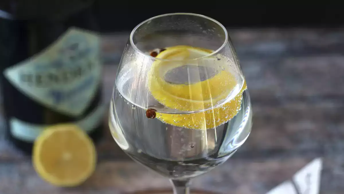 Gin Tonic (India/Reino Unido)