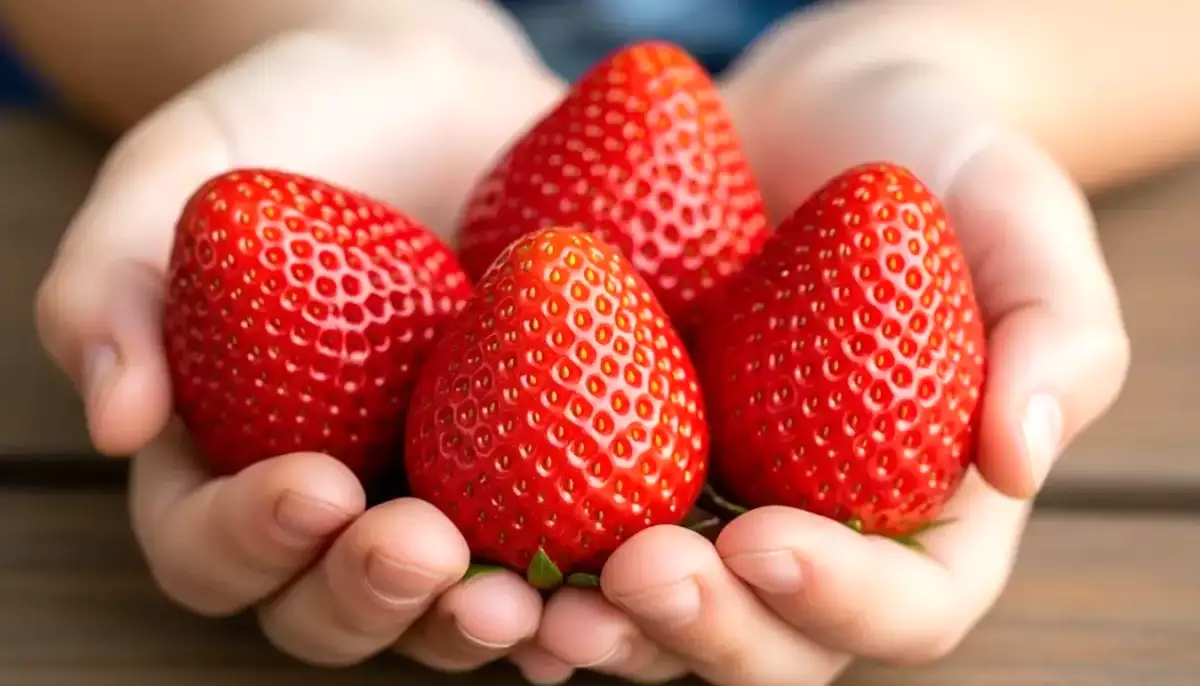 Las fresas no dejan de sorprendernos: la verdad tras sus puntitos amarillos