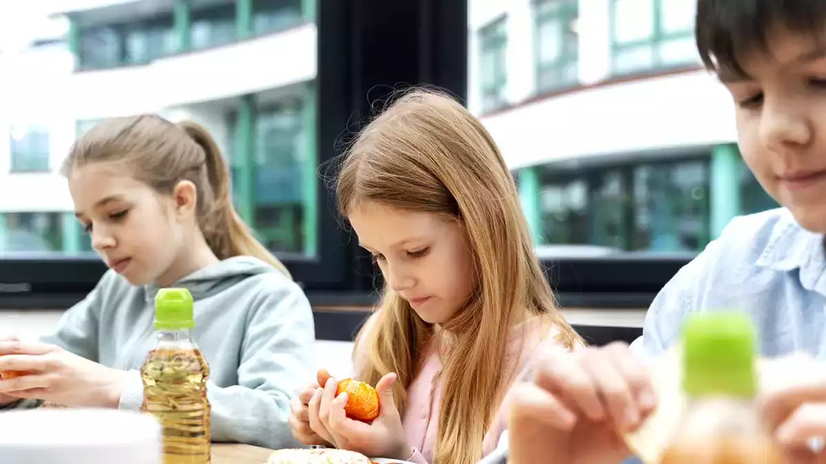 El pescado más popular de los menús escolares, vetado en Francia por su toxicidad