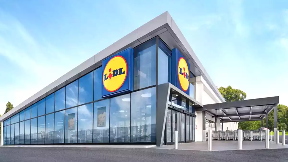 La freidora de aire XL de Lidl a precio mini que podría cambiar tu forma de cocinar