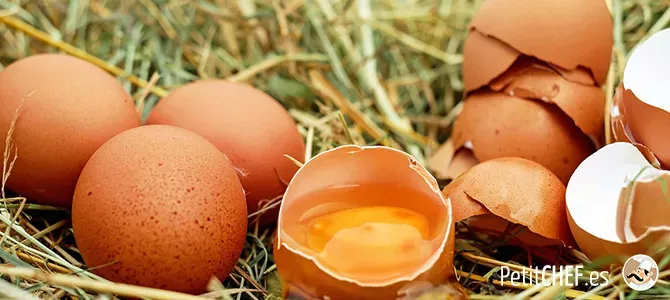 9 formas distintas de cocinar el huevo alrededor del mundo
