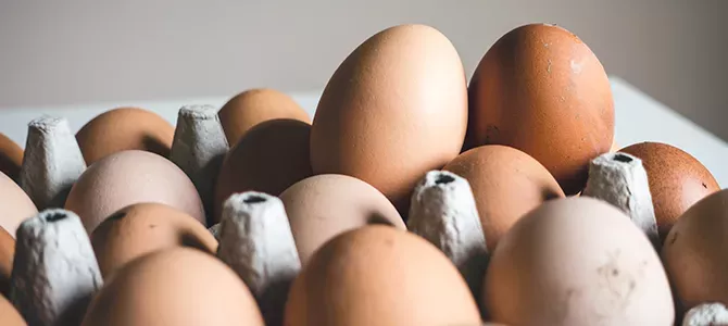 ¿Qué significan los códigos en los huevos?