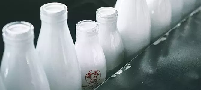 Sustitutos de la leche de vaca