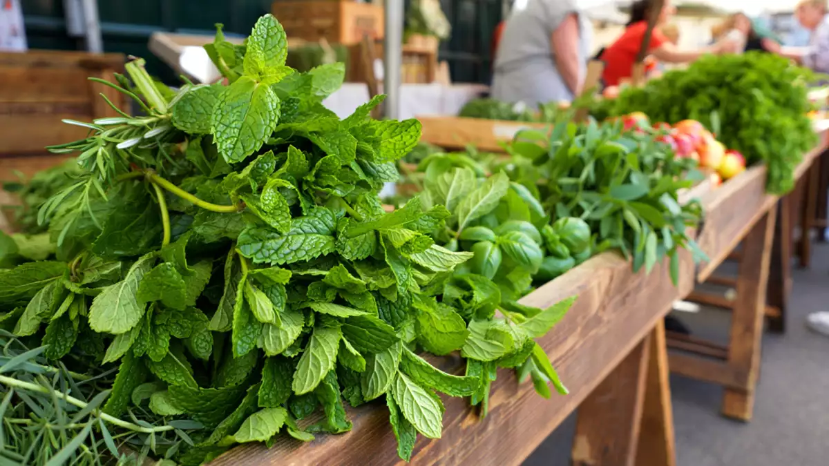 No todas las mentas son iguales: 4 variedades comunes para elegir bien en infusiones y recetas