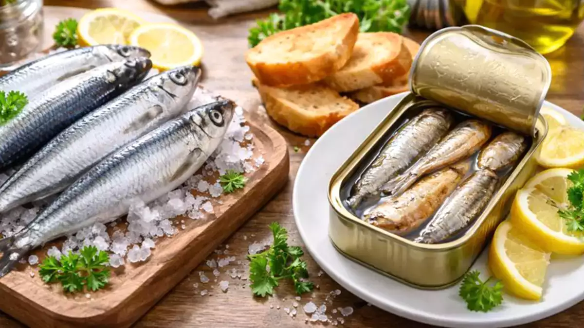 Sardina fresca y en conserva: lo que conviene saber antes de decidir cuál poner en la mesa