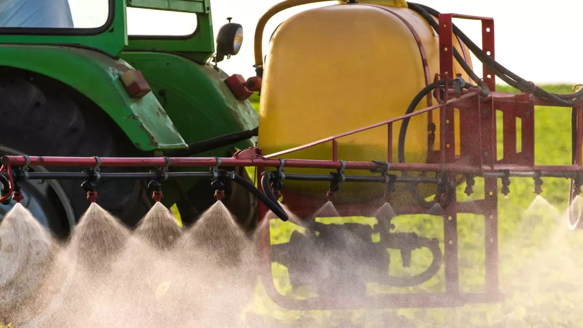 ¿Comer ecológico basta para evitar el cadmio? Lo que dicen los expertos en seguridad alimentaria