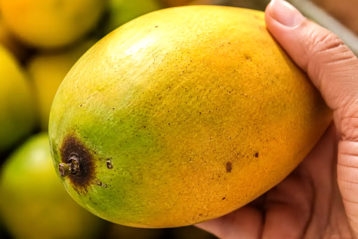 Cómo elegir un mango maduro: las señales que sí importan y por qué el color puede engañarte