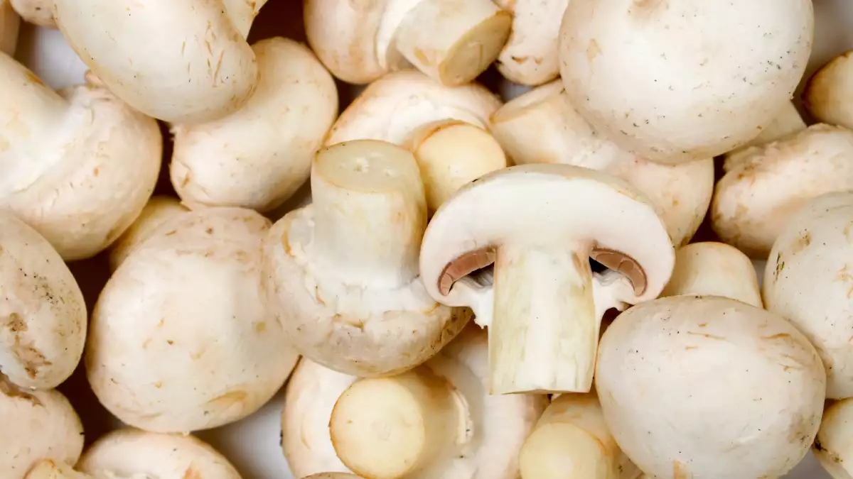 ¿Tus champiñones empiezan a oscurecerse? Cómo saber cuándo cocinarlos y cuándo tirarlos