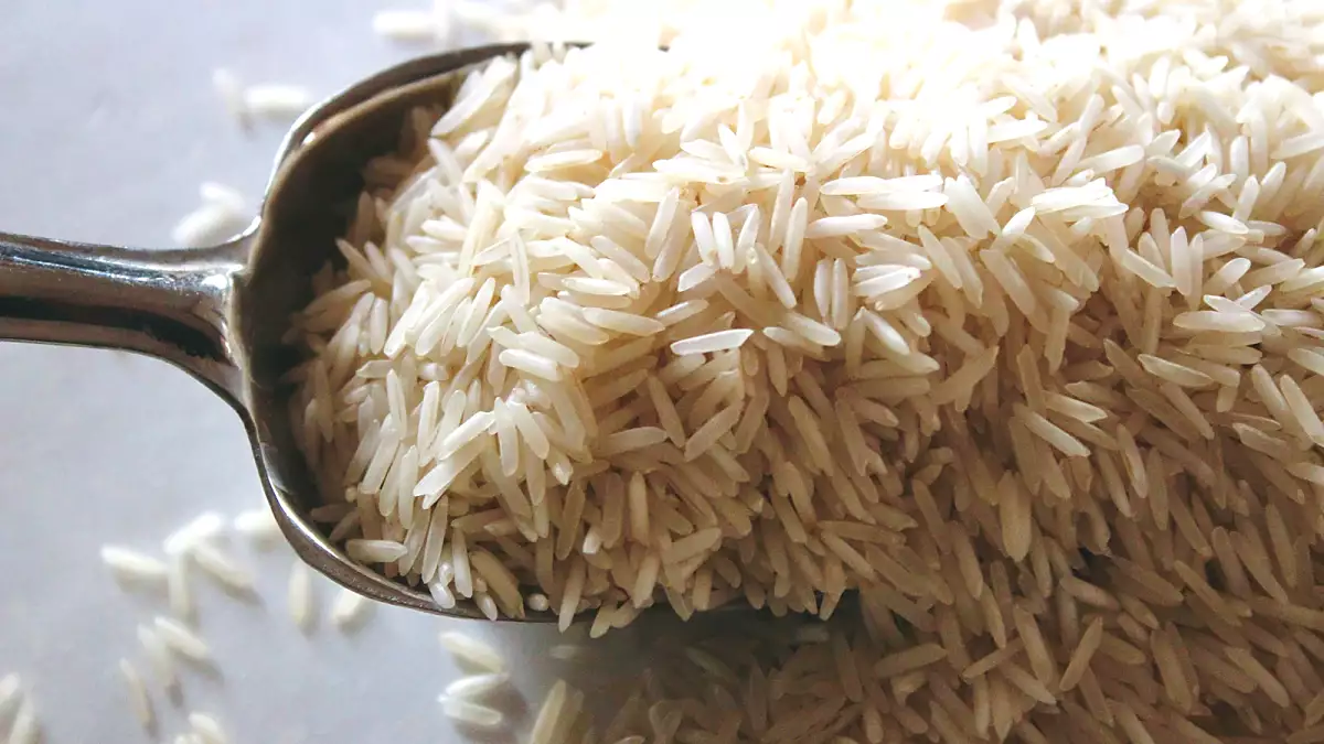 ¿Qué tipo de arroz elegir? Conoce las variedades y descubre cuál encaja mejor con cada receta