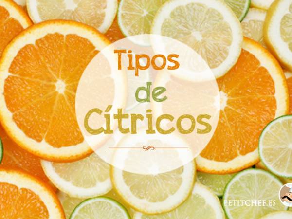 Mucho más que naranjas y limones. Tipos de cítricos y recetas