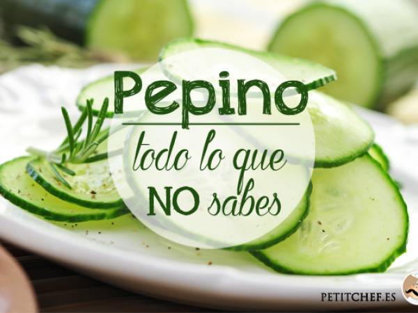 El pepino, todo lo que no sabes