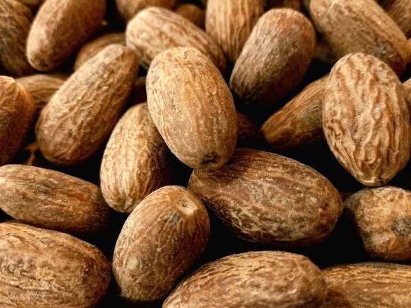 Nuez moscada y alucinaciones: ¿mito o realidad?