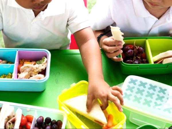 Cómo preparar una semana entera de almuerzos para el recreo en solo 1 hora
