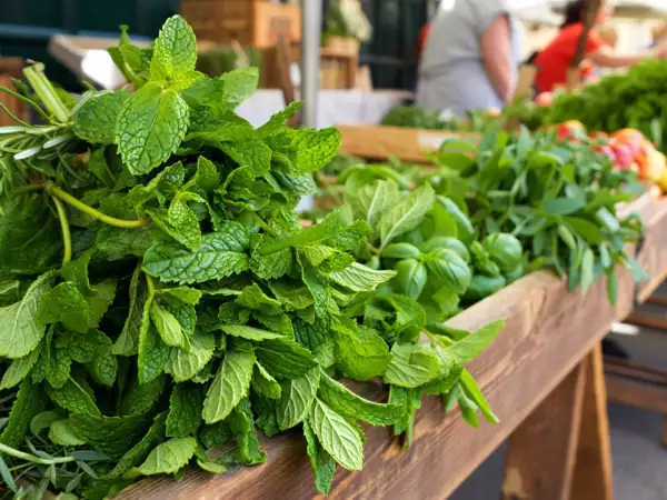 No todas las mentas son iguales: 4 variedades comunes para elegir bien en infusiones y recetas