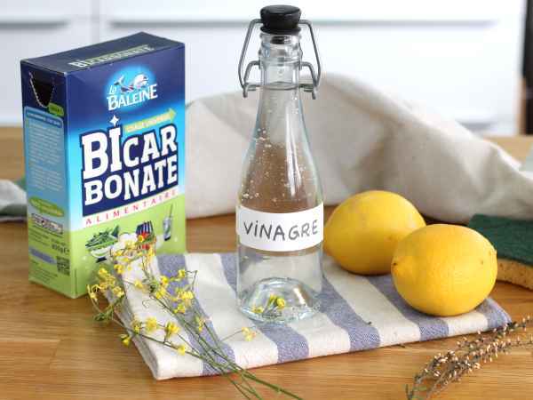 Limpieza ecológica: El poder del vinagre