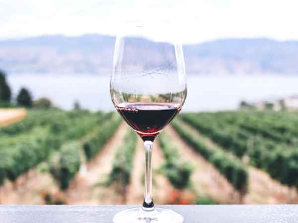 Viaje gastronómico a La Rioja