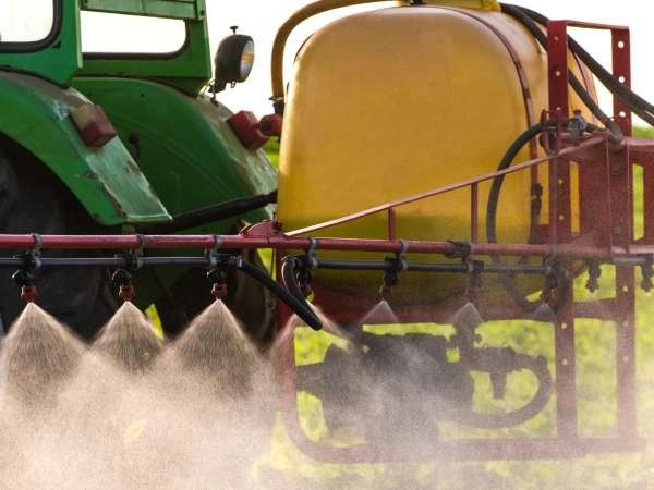 ¿Comer ecológico basta para evitar el cadmio? Lo que dicen los expertos en seguridad alimentaria