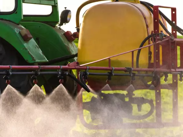 ¿Comer ecológico basta para evitar el cadmio? Lo que dicen los expertos en seguridad alimentaria