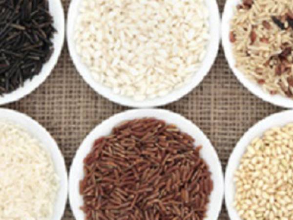 Tipos, variedades y usos del arroz