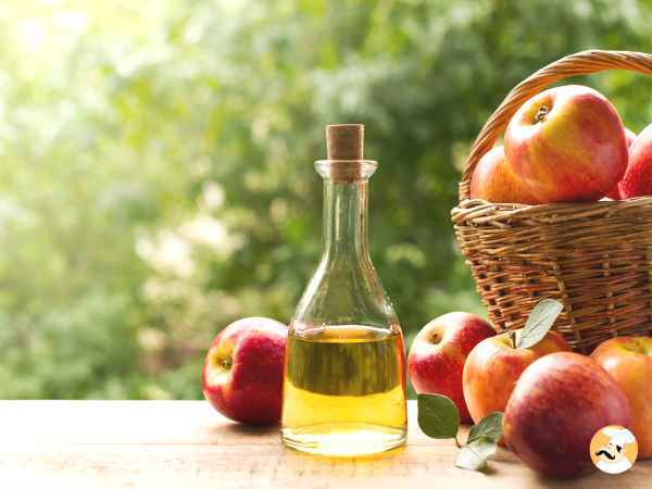 El Ingrediente mágico que te ayudará a perder peso