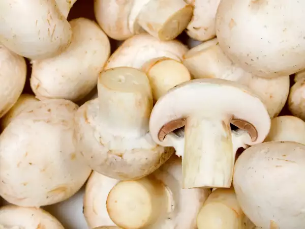 ¿Tus champiñones empiezan a oscurecerse? Cómo saber cuándo cocinarlos y cuándo tirarlos