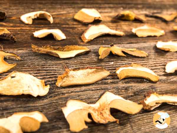 No cometas este error: ¡Rehidrata las setas secas de forma correcta!