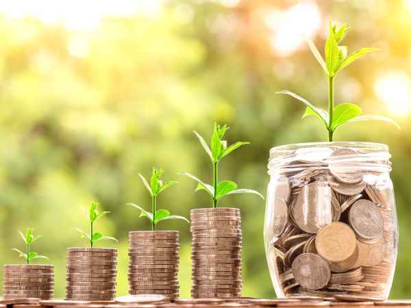 Comer sano sin arruinarse: ¡descubre los alimentos saludables más económicos!