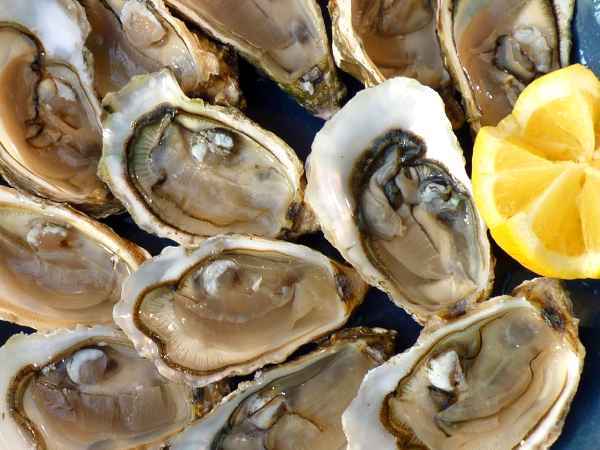 Cómo abrir las ostras fácilmente ¡evita el peligro y hazlo sin esfuerzo!