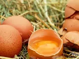 9 formas distintas de cocinar el huevo alrededor del mundo