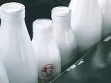 Sustitutos de la leche de vaca