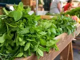 Artículos: No todas las mentas son iguales: 4 variedades comunes para elegir bien en infusiones y recetas