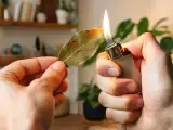 Artículos: Qué pasa realmente si quemas una hoja de laurel: explicación del fenómeno viral y lo no demostrado