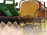 Artículos: ¿Comer ecológico basta para evitar el cadmio? Lo que dicen los expertos en seguridad alimentaria