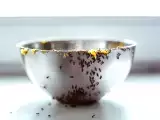Artículos: Los mejores consejos de la abuela para mantener la cocina libre de hormigas con métodos caseros